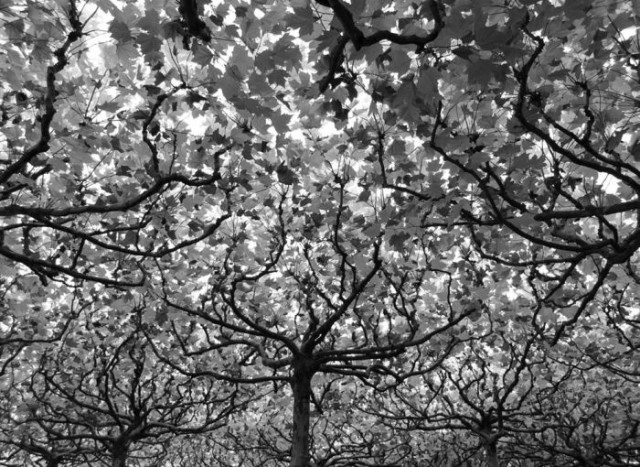 Картинки разные