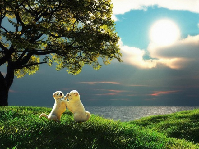 Подборка красивых фото