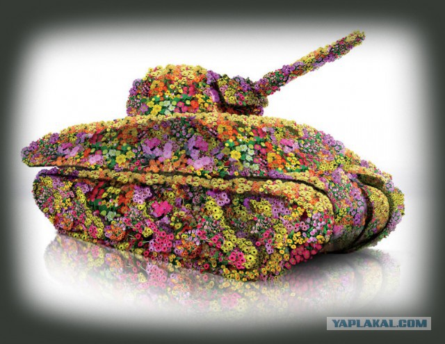 Wargaming 33