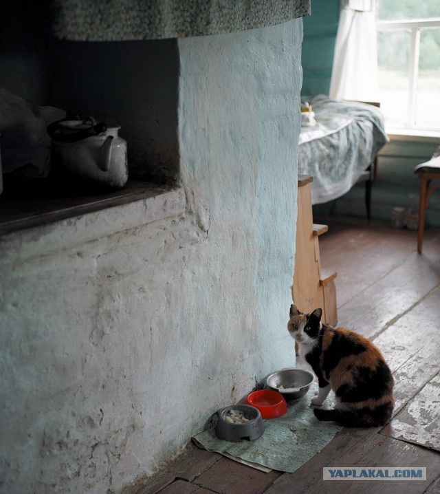 Подборка смешных, не очень и просто красивых фотографий