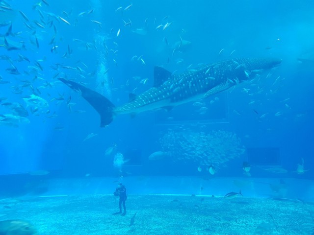 Подборка интересных и красивых фото