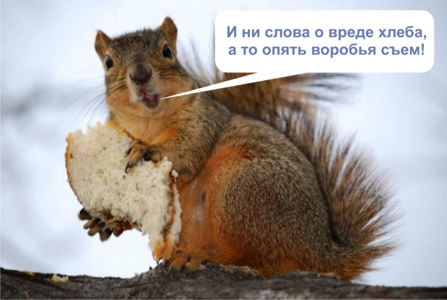 Подборка интересных и веселых картинок