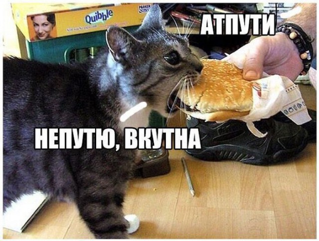 Подборка интересных и веселых картинок