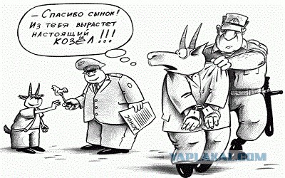 "Проявил" сознательность