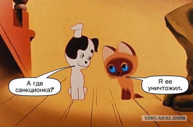 Таможенная служба попросила мигалки, чтобы охотиться за санкционкой
