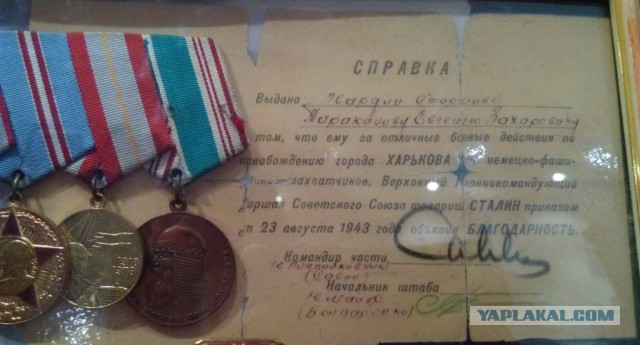 Бессмертный полк ЯП