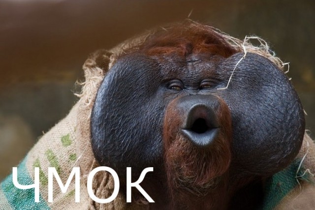 Фотокомикс: А куда ушла жена?