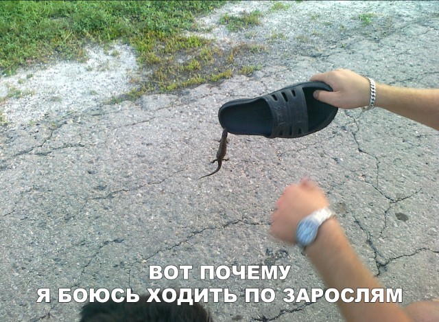 Нестандартный юмор
