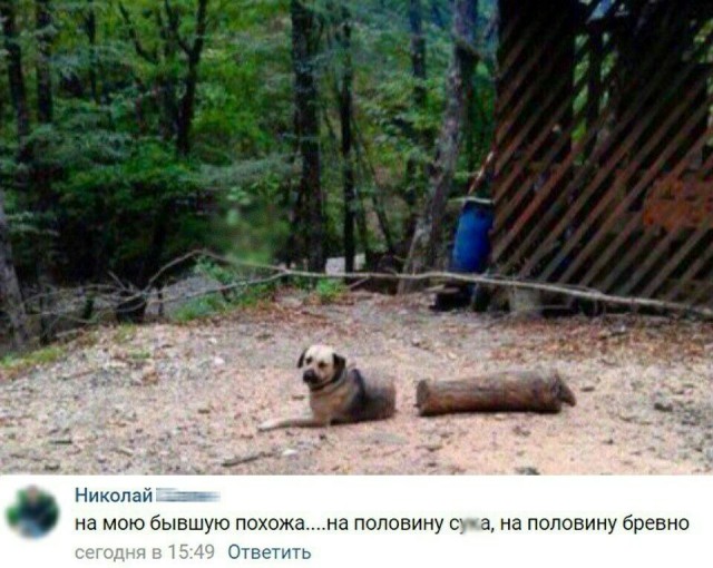 Адекват - не наш формат!