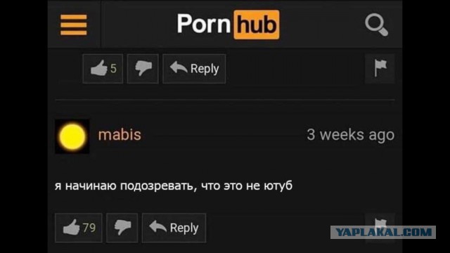 Удивительный мир комментариев под роликами на Pornhub