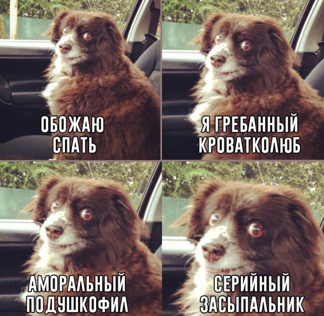Немного картинок на вечер