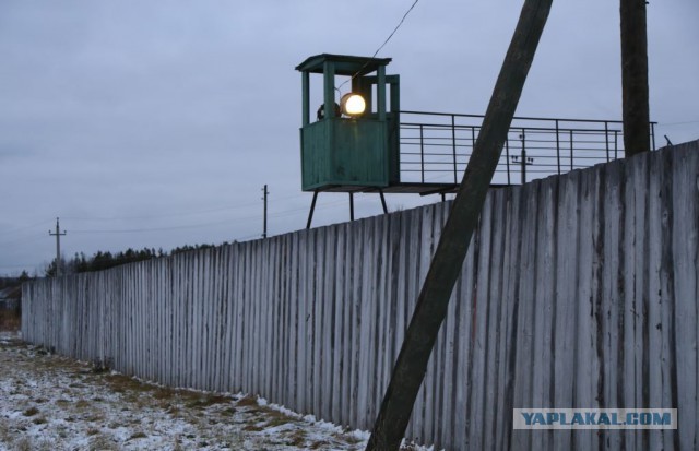 Почему в СССР клали паркет во всех квартирах