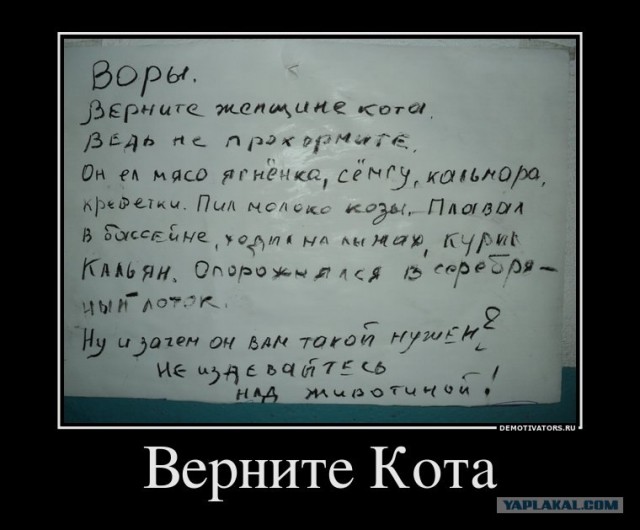 История одной пропажи..