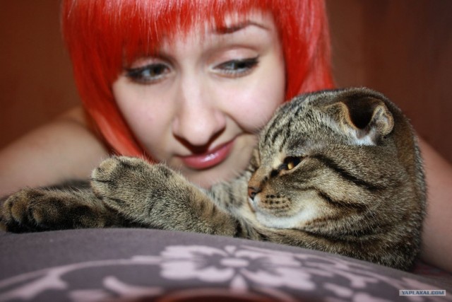 Котовторник 10.04.2012