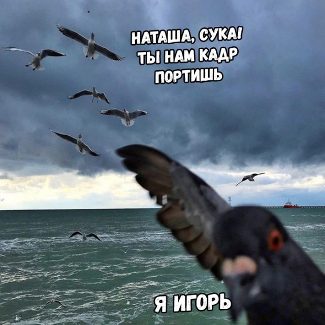 Нестандартный юмор