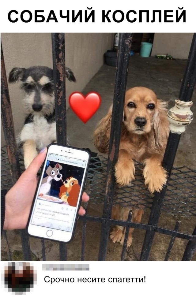 Нестандартный юмор
