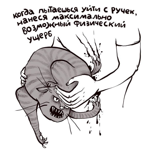 Долгая счастливая жизнь