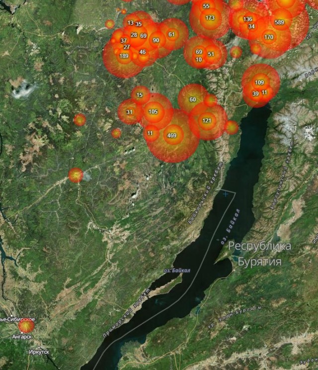 Трамп предложил помощь в тушении пожаров