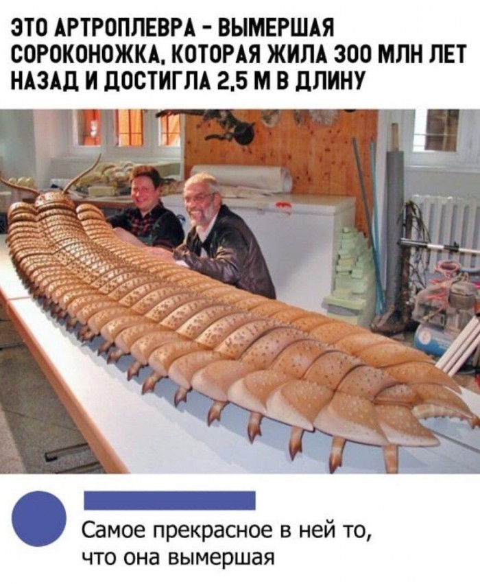 Комментарии, картинки всякие