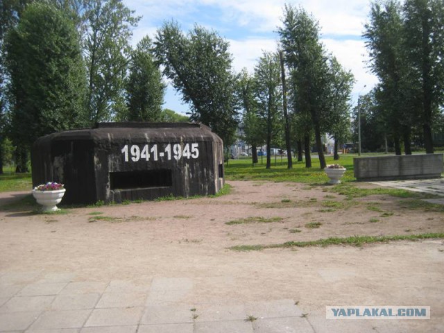 На самолете вокруг Финского залива