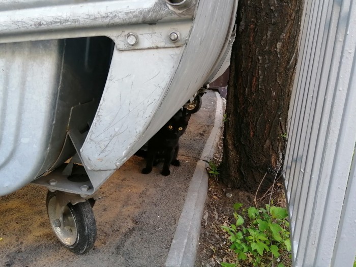 Paзнoвиднocти тьмы