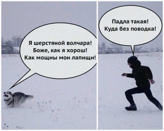Бредзона