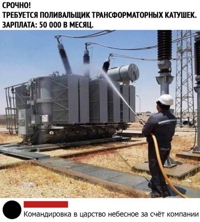 Картинки из рабочего чата 23.04