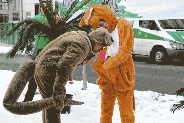 Фотожаба: А ты мальчик, или девочка?