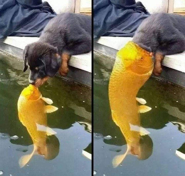 Субботний неадэкват