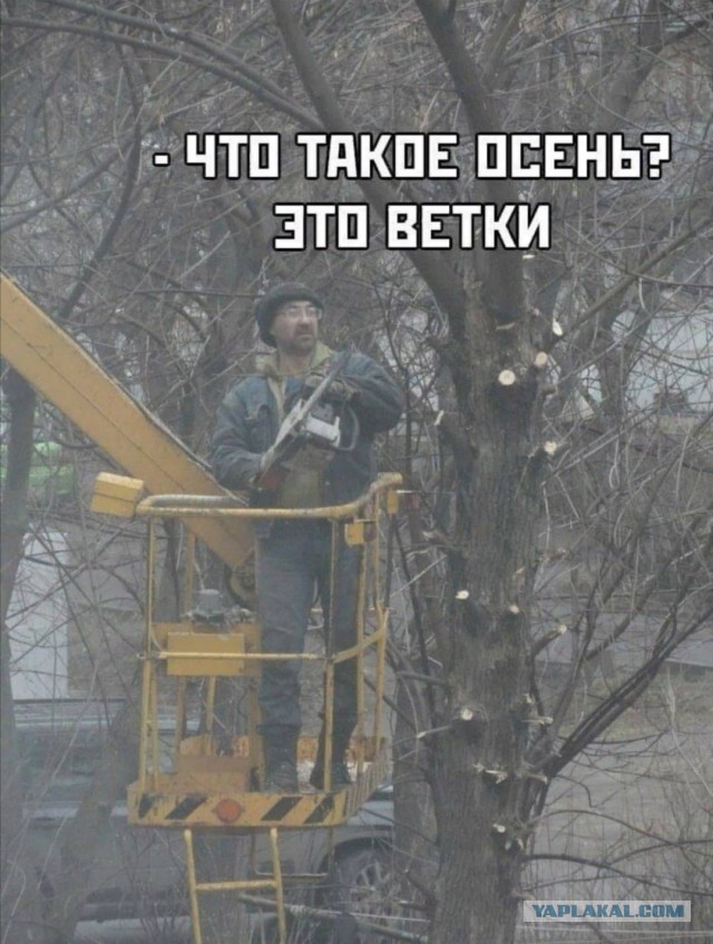Немного картинок для настроения 05.11.20