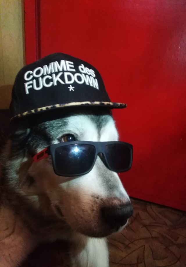 С четвергом тебя, любимый хозяин