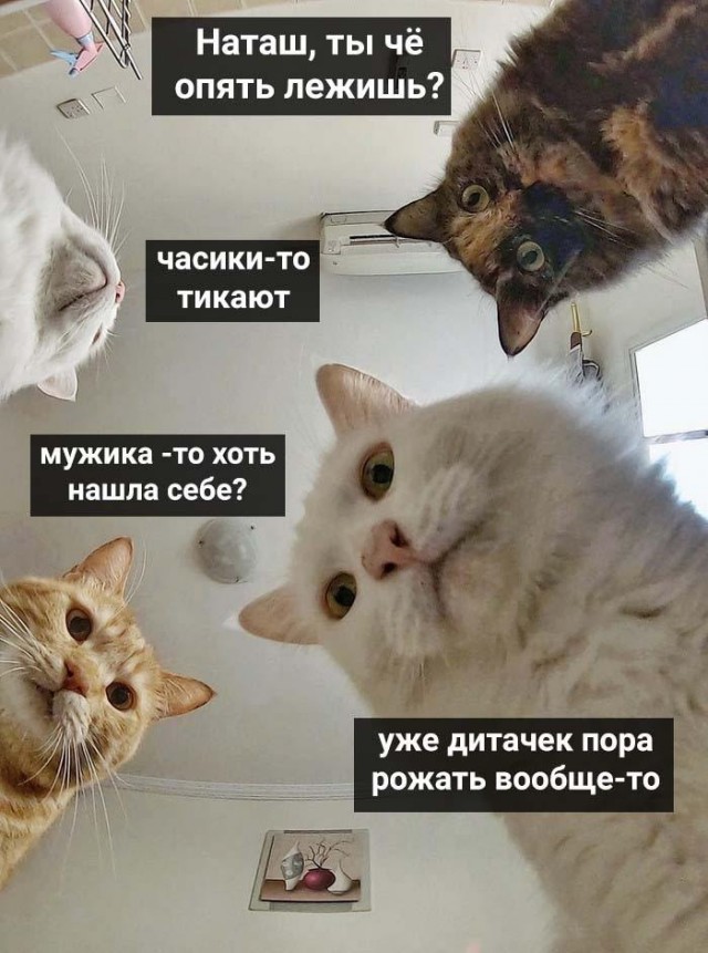 Наташа, вставай!