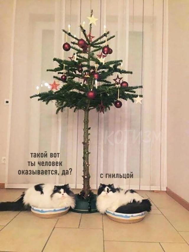 Картинки и всякие жизненные фразы