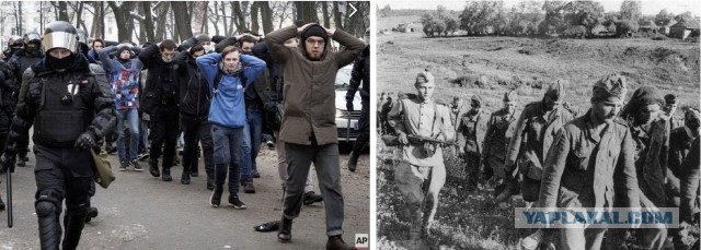 Кремль отреагировал на жалобы о насилии со стороны силовиков на митинге