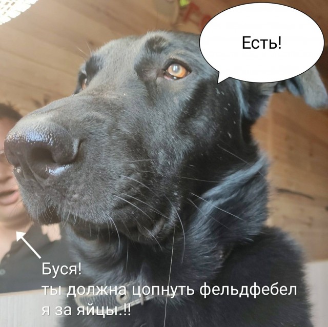 Все любят секс