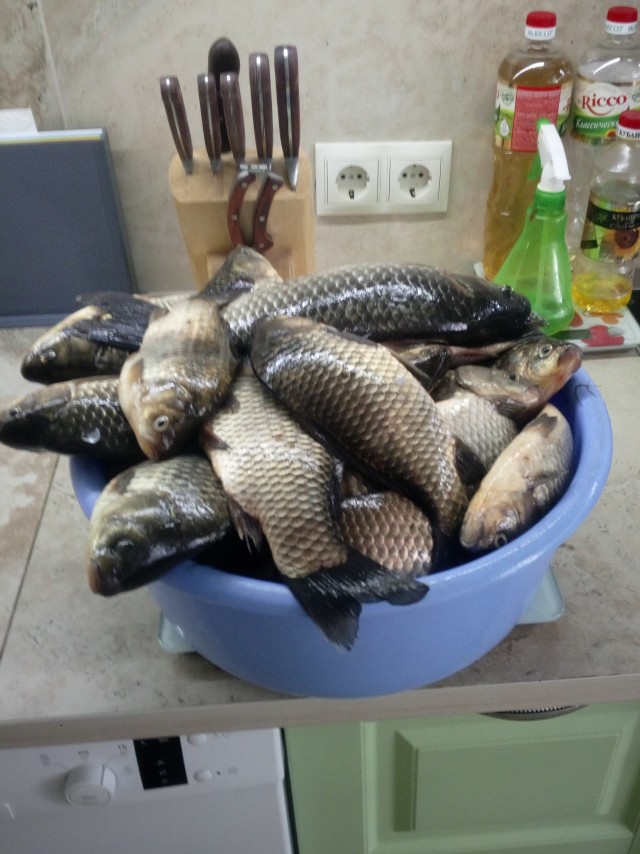 Немного рыбалки