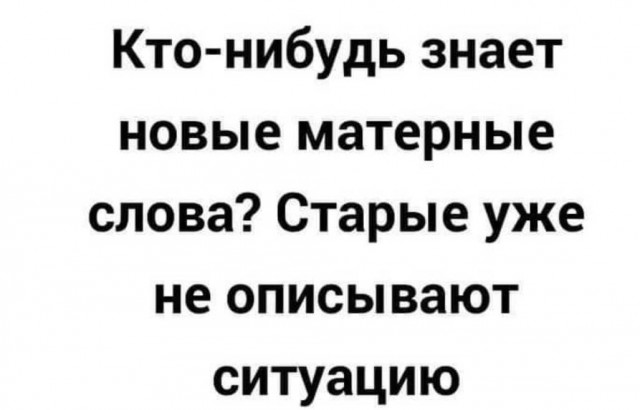 Весёлый полтишок 21.06.2021