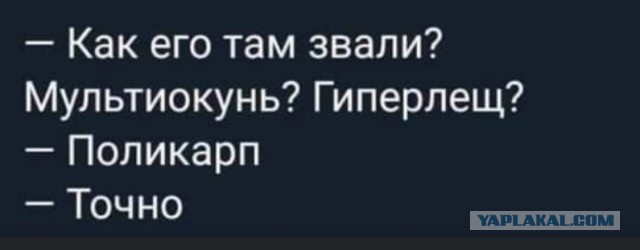 Свинегрет: картинки, надписи и прочее на 06,07.202 или №31