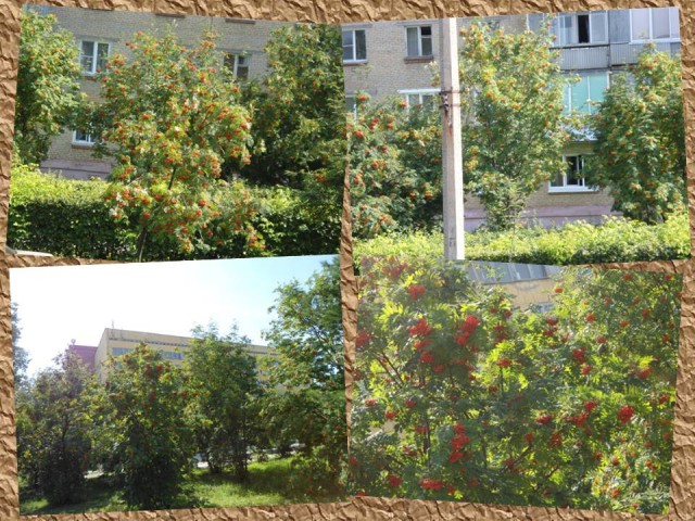 Кулинарная беседка