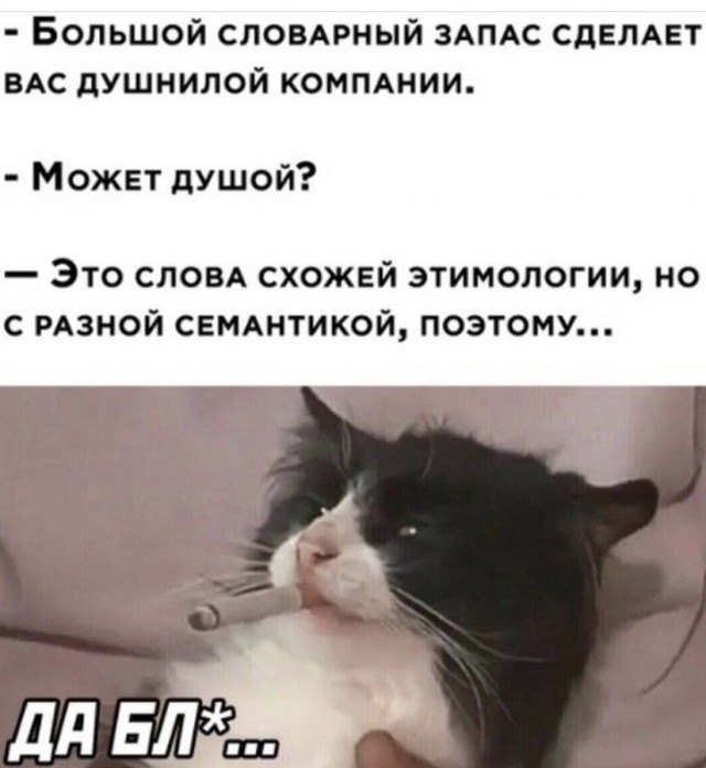 Картинки и мемы для настроения 14.08.2021