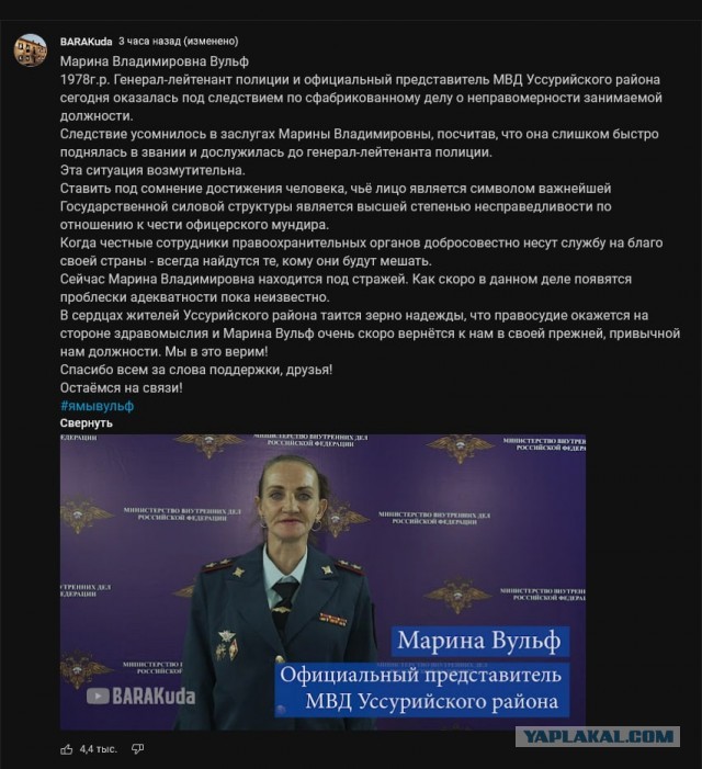 Актрису из Уссурийска, пародировавшую представителя МВД Ирину Волк, арестовали на 10 суток