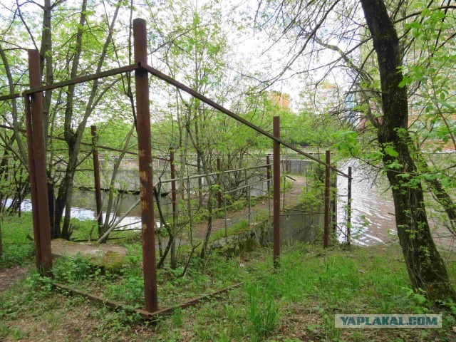 Течёт река Химка