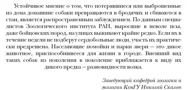 Топ громких расправ над живодёрами