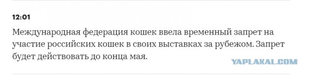 Чё, точно всего неделя прошла?