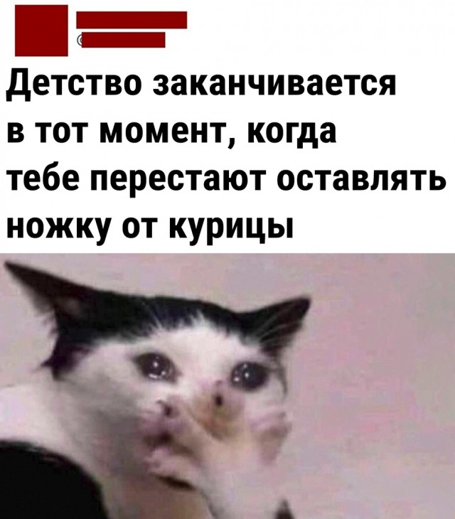 Так себе картинки 02.04.22