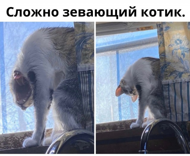 Так себе картинки 07.04.22