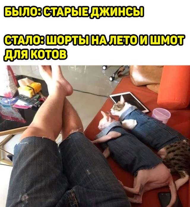 Весёлый полтишок 03.06.22