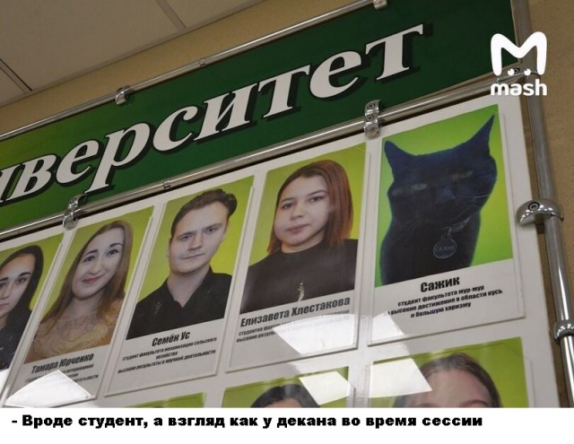 Пятница. Вечер. Картинки всякие #9
