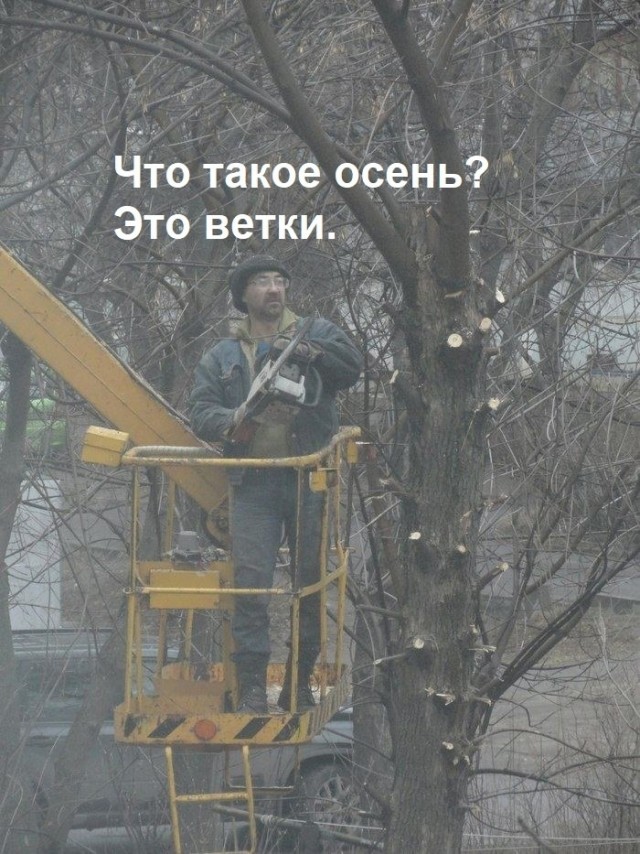 Так себе картинки 09.09.22