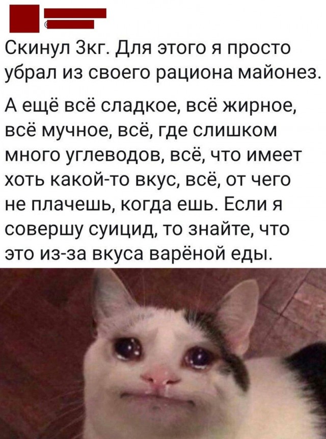 Чуток картинок 11.10.22